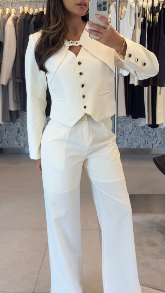 Chic Blazer + Pants Set