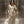 Lightweight Kimono Pants Set